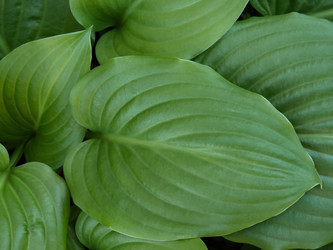 Similar image 21253134