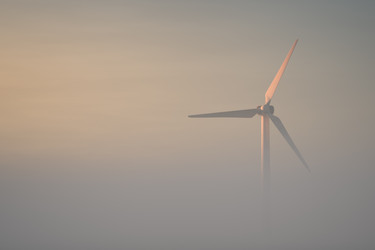 Similar image 21256952