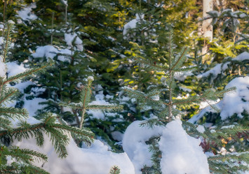 Similar image 21253615