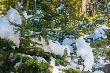 Similar image 21253616