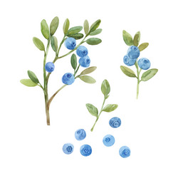 Similar image 21258813