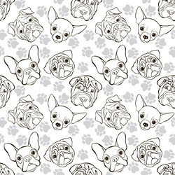 Similar image 21258847