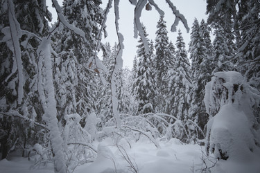 Similar image 21256545