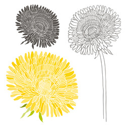 Similar image 21258857