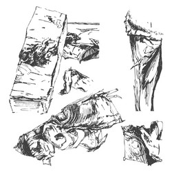 Similar image 21258878