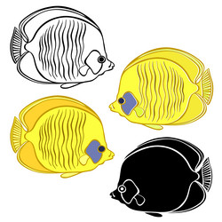 Similar image 21258879