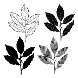 Similar image 21258894