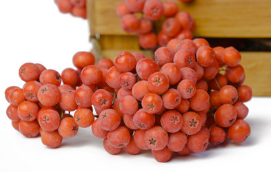 Similar image 21255398