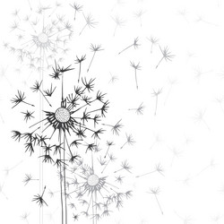 Similar image 21258989