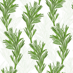 Similar image 21259028