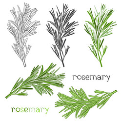 Similar image 21259032