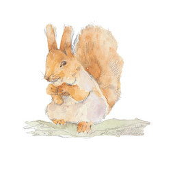 Similar image 21259033