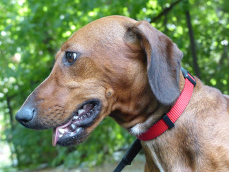 Similar image 21255626