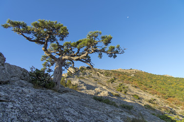 Similar image 21253635