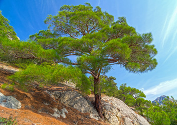 Similar image 21253636