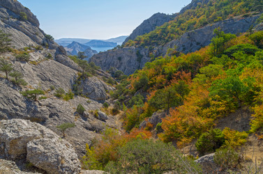 Similar image 21253637