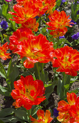 Similar image 21253639