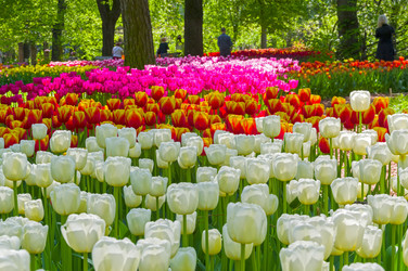 Similar image 21253640