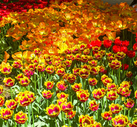 Similar image 21253641