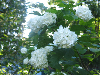 Similar image 21255628