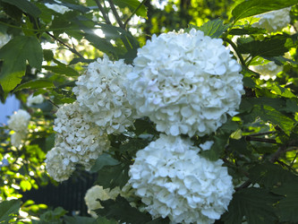 Similar image 21255629