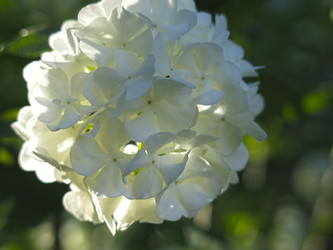 Similar image 21255630