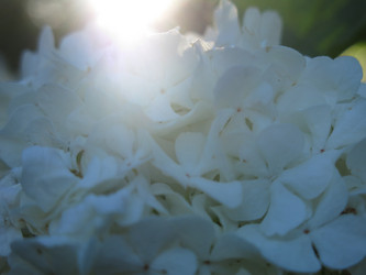 Similar image 21255631