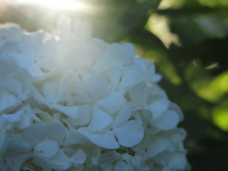 Similar image 21255632