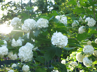 Similar image 21255633