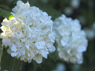 Similar image 21255634