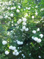 Similar image 21255635