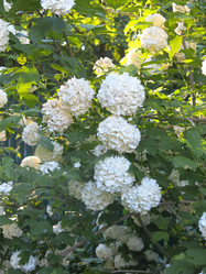 Similar image 21255636