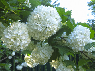 Similar image 21255637