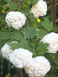 Similar image 21255638