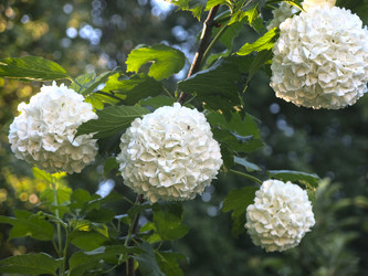 Similar image 21255639