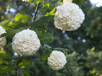 Similar image 21255640