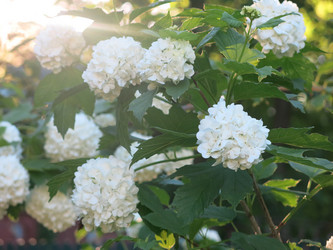 Similar image 21255642