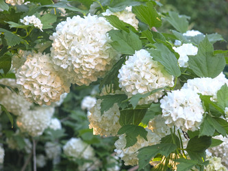 Similar image 21255643