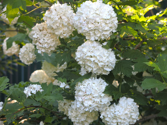 Similar image 21255644