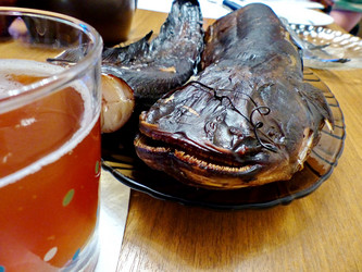 Similar image 21255660