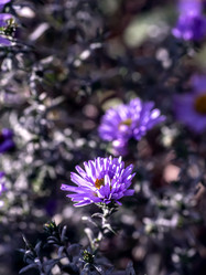 Similar image 21254268