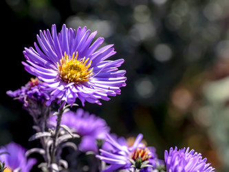 Similar image 21254270