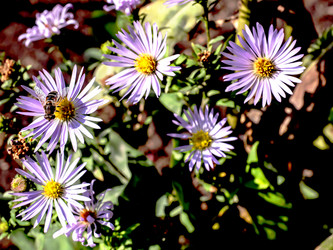 Similar image 21254272