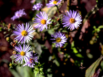 Similar image 21254273