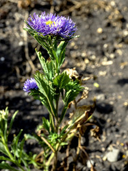 Similar image 21254275