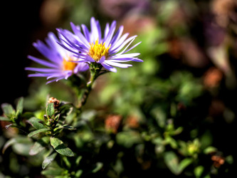 Similar image 21254276