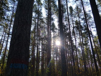 Similar image 21255663