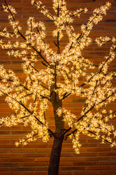 Similar image 21253654