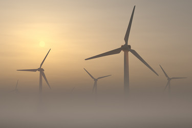 Similar image 21256975