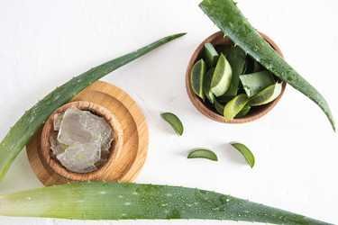 Similar image 21254485